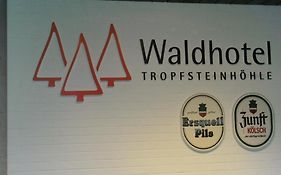 Waldhotel Tropfsteinhöhle Wiehl